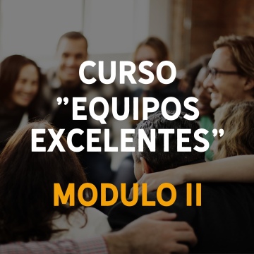 Equipos Excelentes Modulo II . Curso virtual + Mentoría + Coaching
