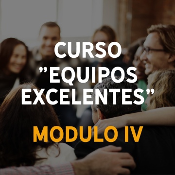 Equipos Excelentes Modulo IV . Curso virtual + Mentoría + Coaching